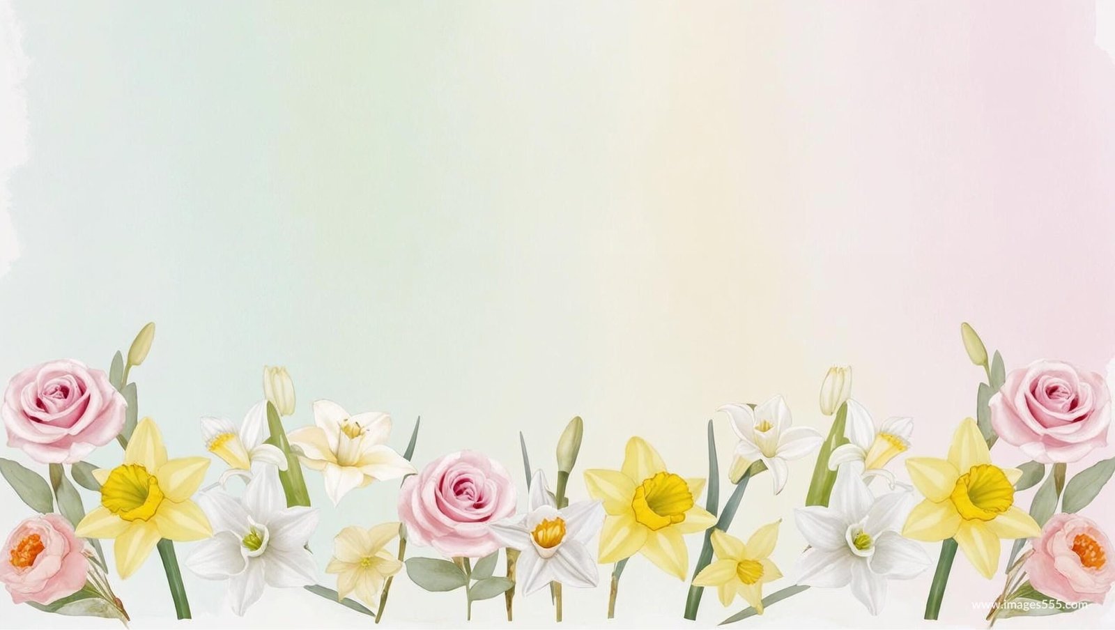 Flower Background, Flower Background aesthetic, Flower background HD, Flower background hd 4k, Flower Wallpaper, Background Flower, Background Floral, Flower wallpaper, Flower petals, Floral leaves, Blossom, Petals,