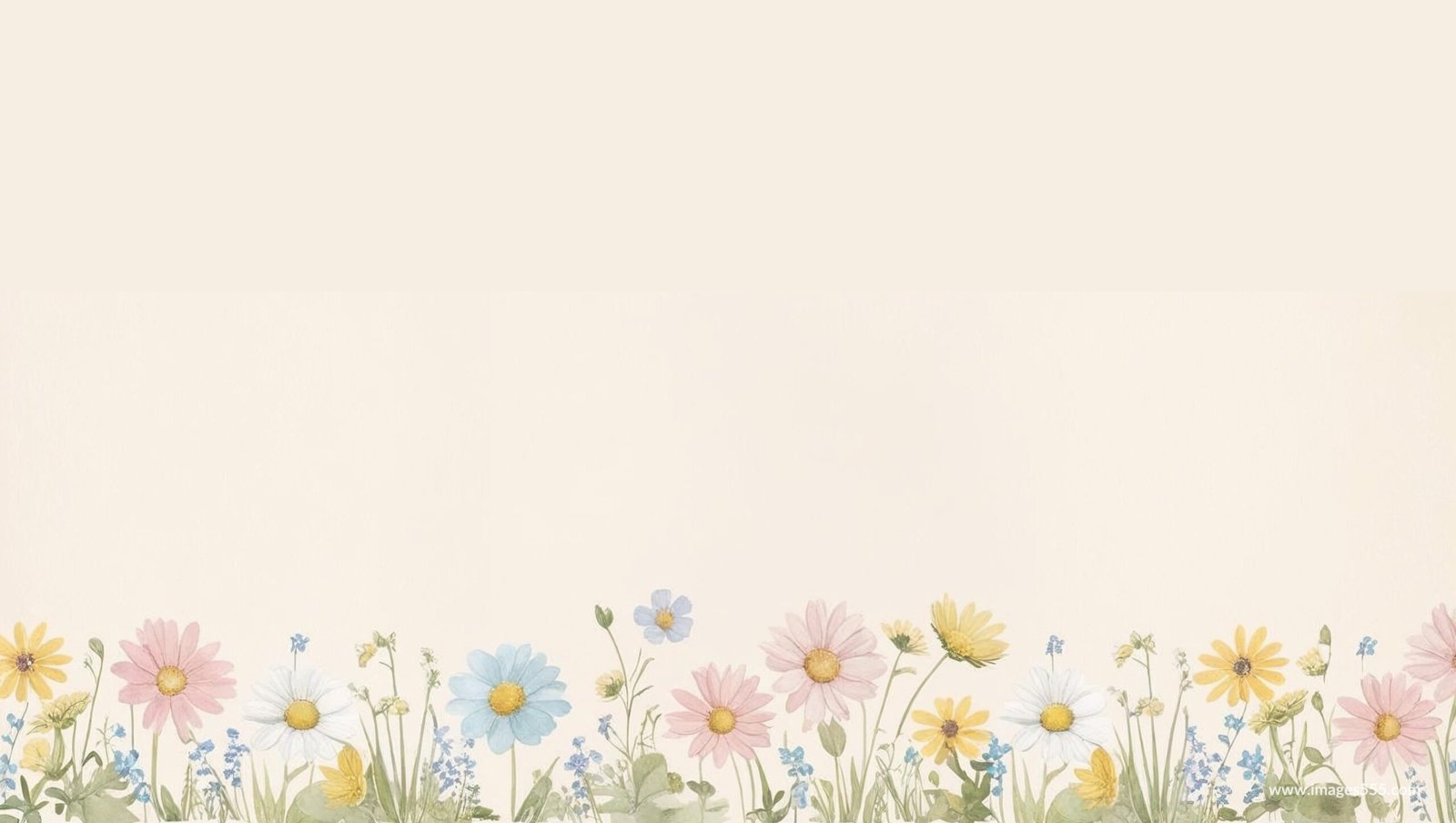 Flower Background, Flower Background aesthetic, Flower background HD, Flower background hd 4k, Flower Wallpaper, Background Flower, Background Floral, Flower wallpaper, Flower petals, Floral leaves, Blossom, Petals,