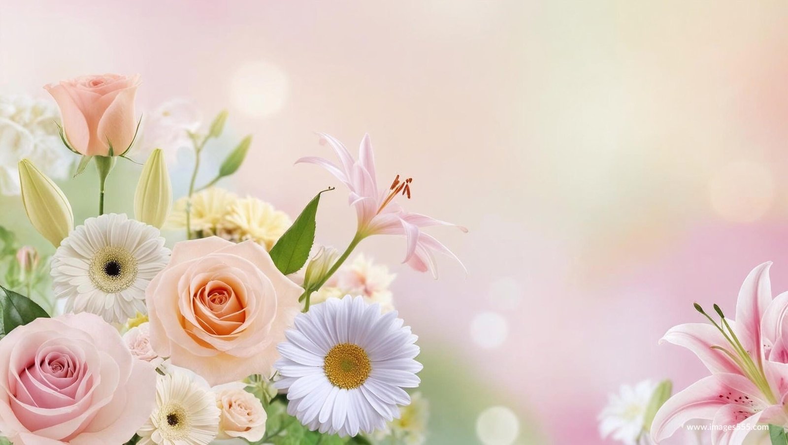 Flower Background, Flower Background aesthetic, Flower background HD, Flower background hd 4k, Flower Wallpaper, Background Flower, Background Floral, Flower wallpaper, Flower petals, Floral leaves, Blossom, Petals,
