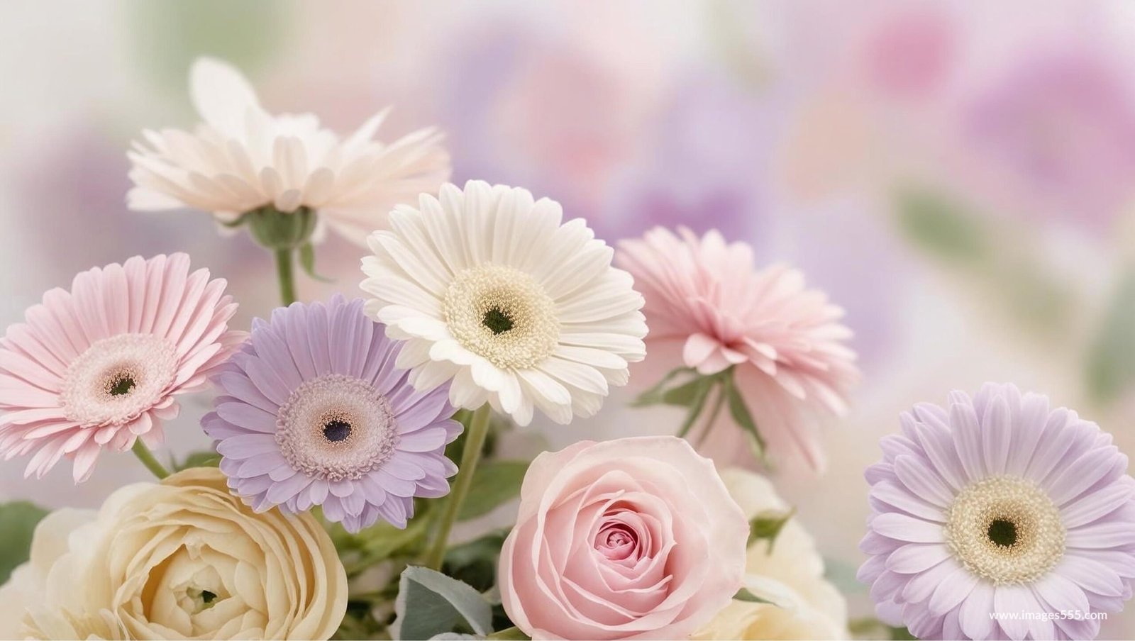 Flower Background, Flower Background aesthetic, Flower background HD, Flower background hd 4k, Flower Wallpaper, Background Flower, Background Floral, Flower wallpaper, Flower petals, Floral leaves, Blossom, Petals,