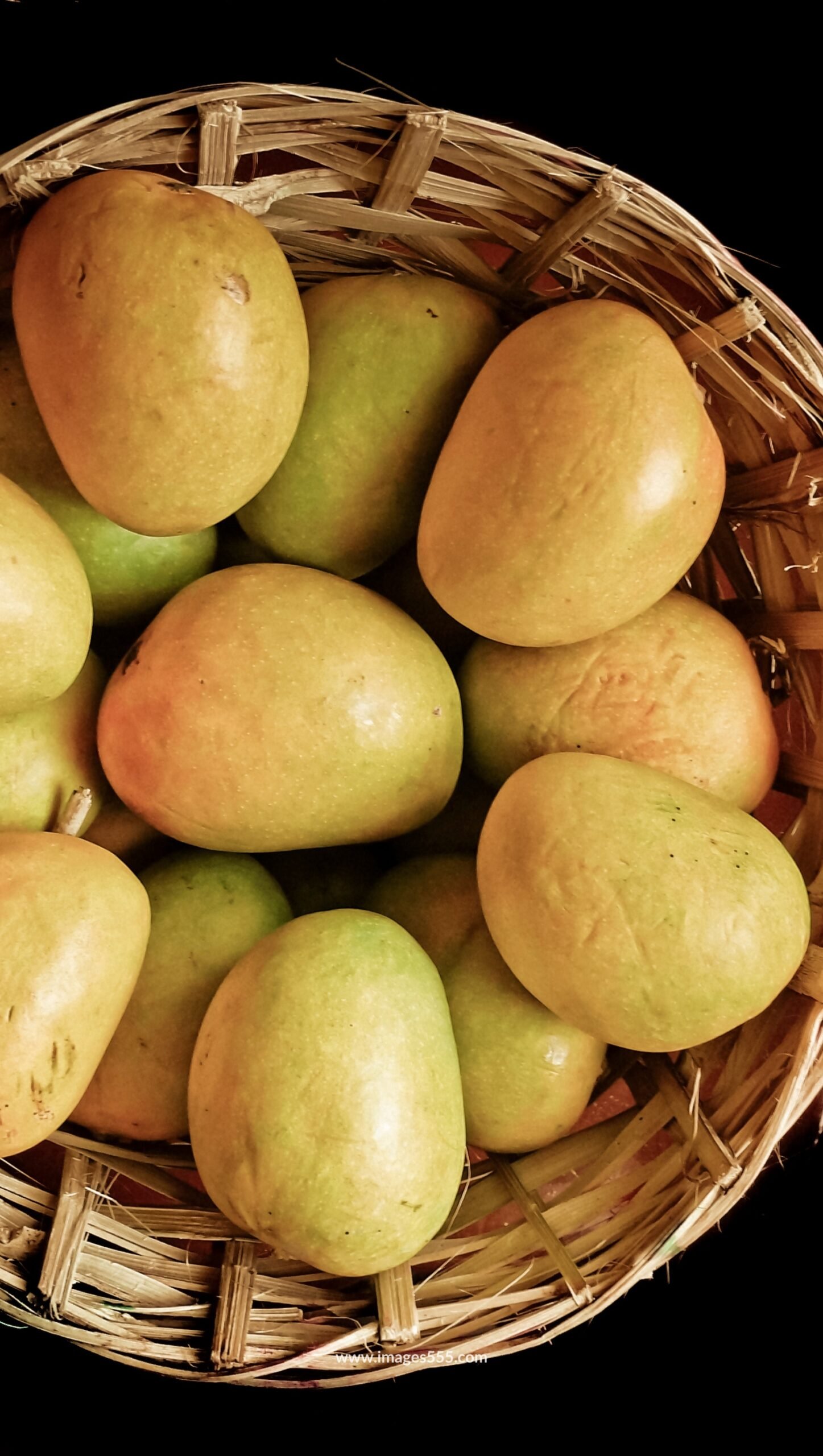 Mango Images 13 Mango Images, Mango Images hd, Fresh Mango Images, Best Mango Photo, Mango Images Download, Mango Images Wallpapers, images555.com