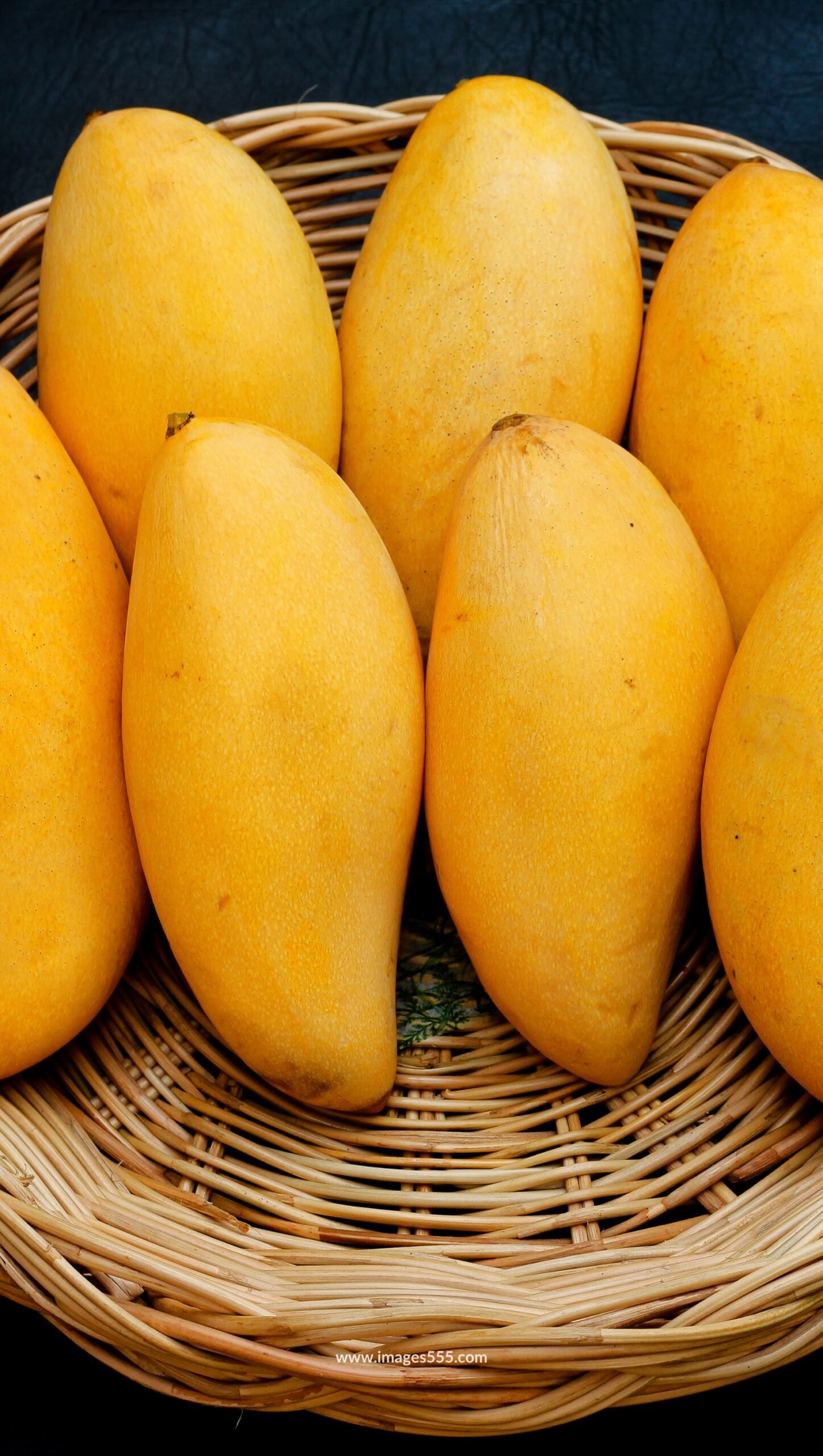 Mango Images 12 Mango Images, Mango Images hd, Fresh Mango Images, Best Mango Photo, Mango Images Download, Mango Images Wallpapers, images555.com