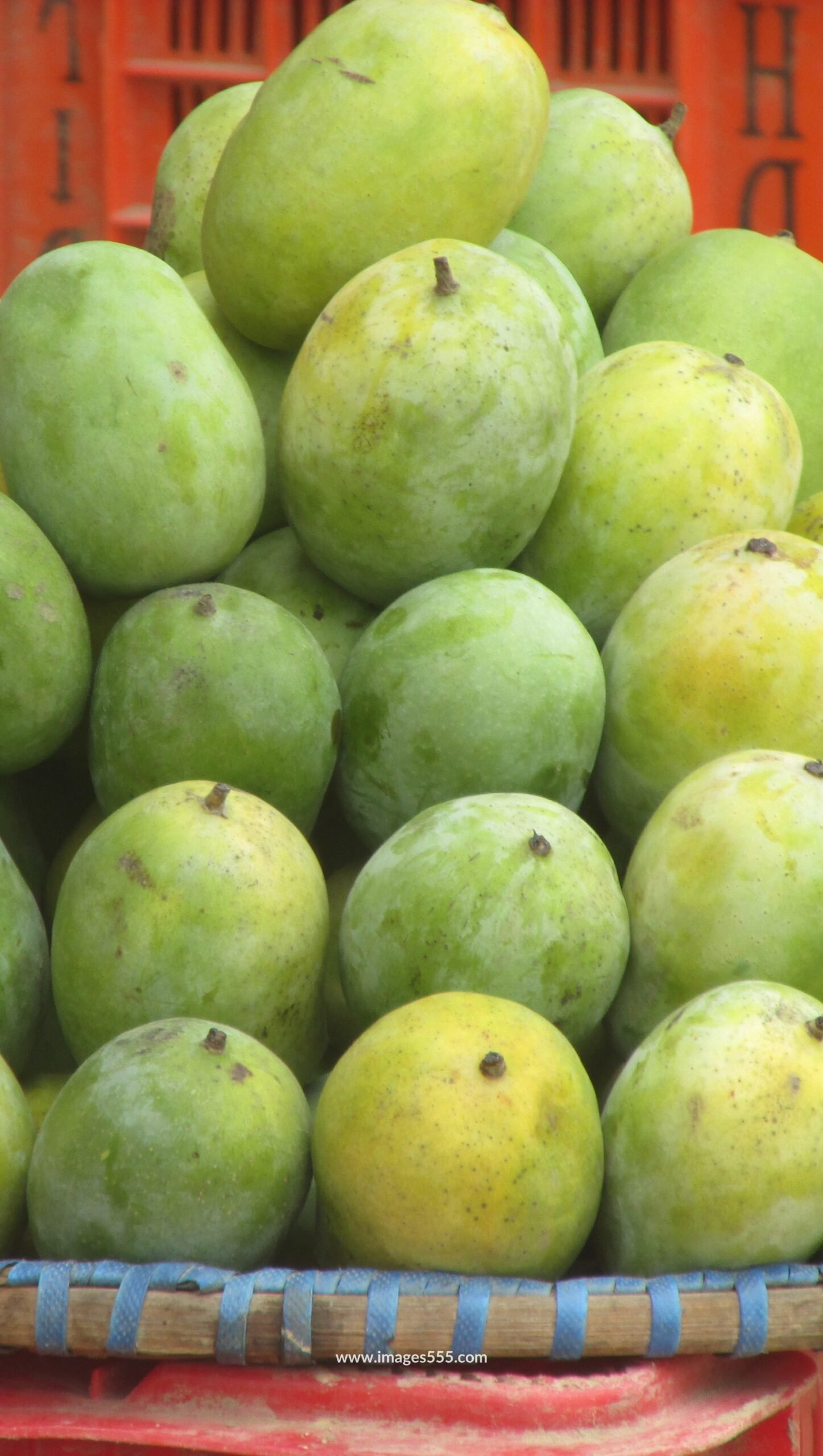 Mango Images 11 Mango Images, Mango Images hd, Fresh Mango Images, Best Mango Photo, Mango Images Download, Mango Images Wallpapers, images555.com