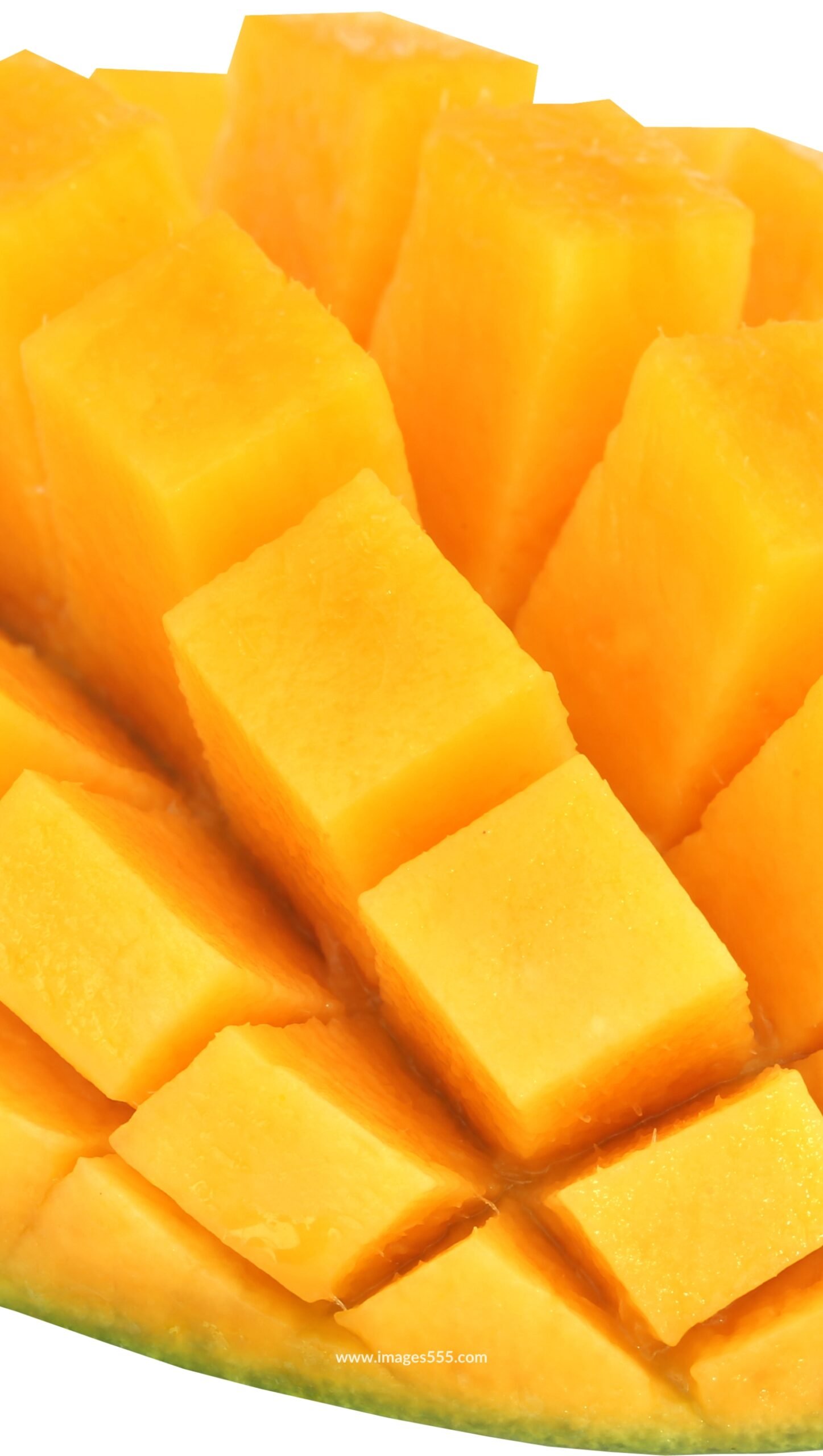 Mango Images 6 Mango Images, Mango Images hd, Fresh Mango Images, Best Mango Photo, Mango Images Download, Mango Images Wallpapers, images555.com