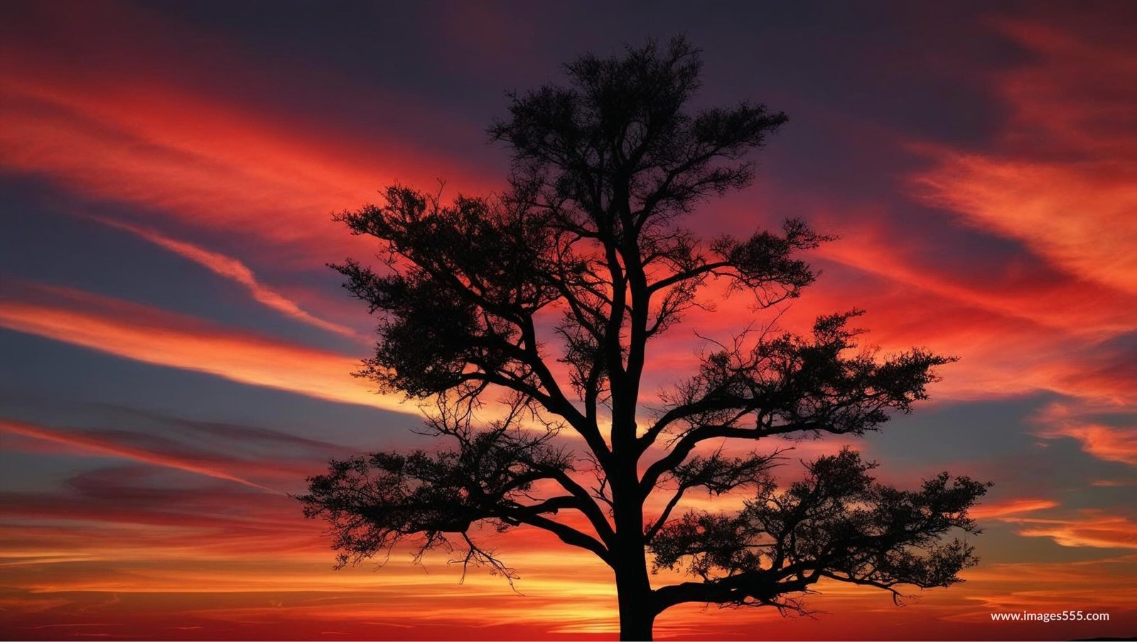 Sunset Silhouette Background Images 17 Sunset Silhouette Background Images, Free sunset silhouette background images, Sunset Silhouette painting, Sunset silhouette drawing, Sunset silhouette background images download,