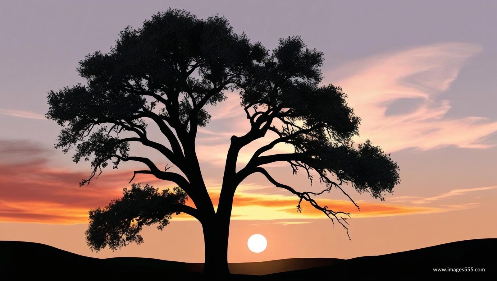 Sunset Silhouette Background Images 3 Sunset Silhouette Background Images, Free sunset silhouette background images, Sunset Silhouette painting, Sunset silhouette drawing, Sunset silhouette background images download,