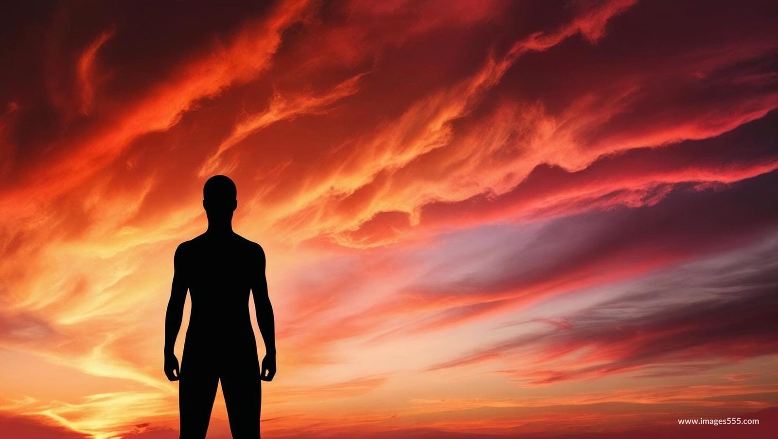 Sunset Silhouette Background Images 9 Sunset Silhouette Background Images, Free sunset silhouette background images, Sunset Silhouette painting, Sunset silhouette drawing, Sunset silhouette background images download,