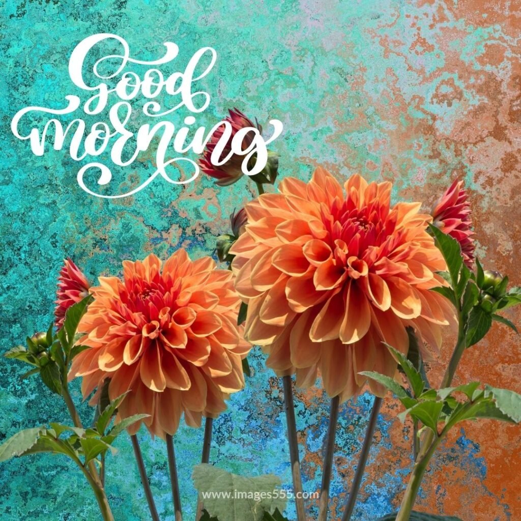 good morning images with flowers 23