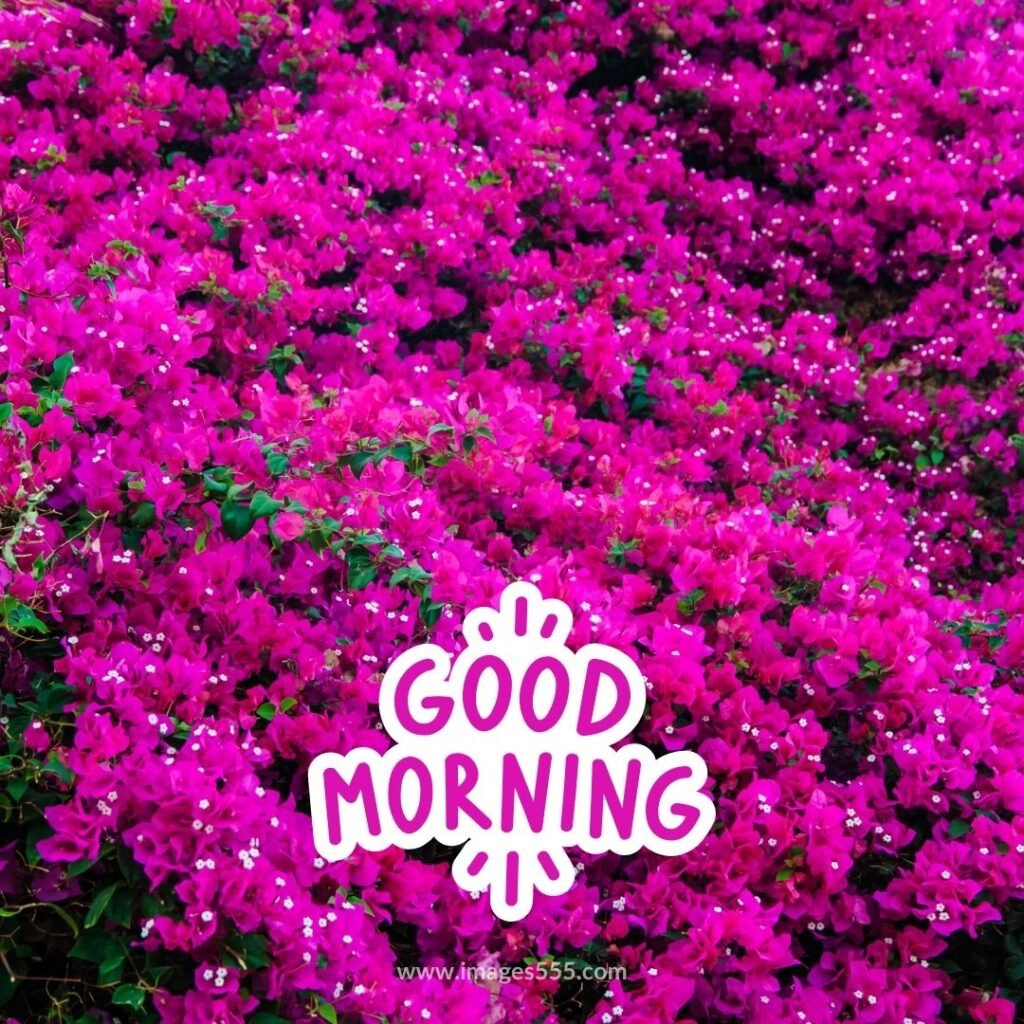 good morning images with flowers 25