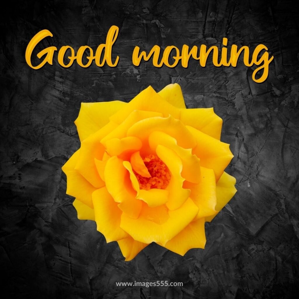 good morning images with flowers 30