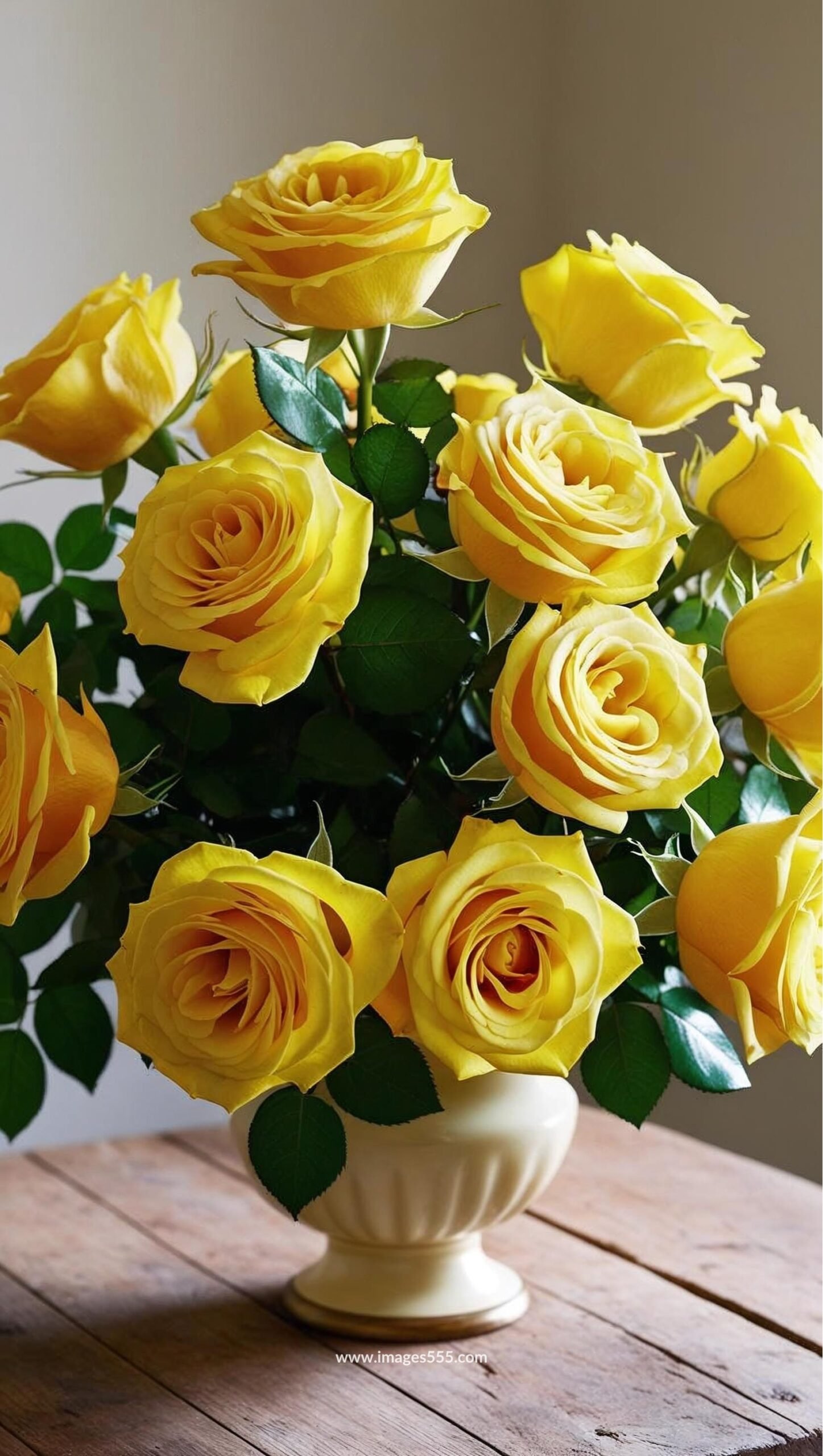 Yellow Rose Images 15 Yellow Rose Images, Yellow Rose Bouquet, Yellow Rose with yellow rose buds
